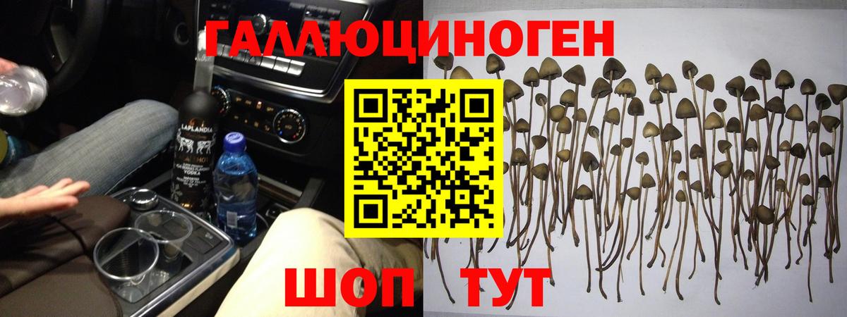 Псилоцибиновые грибы GOLDEN TEACHER Карасук