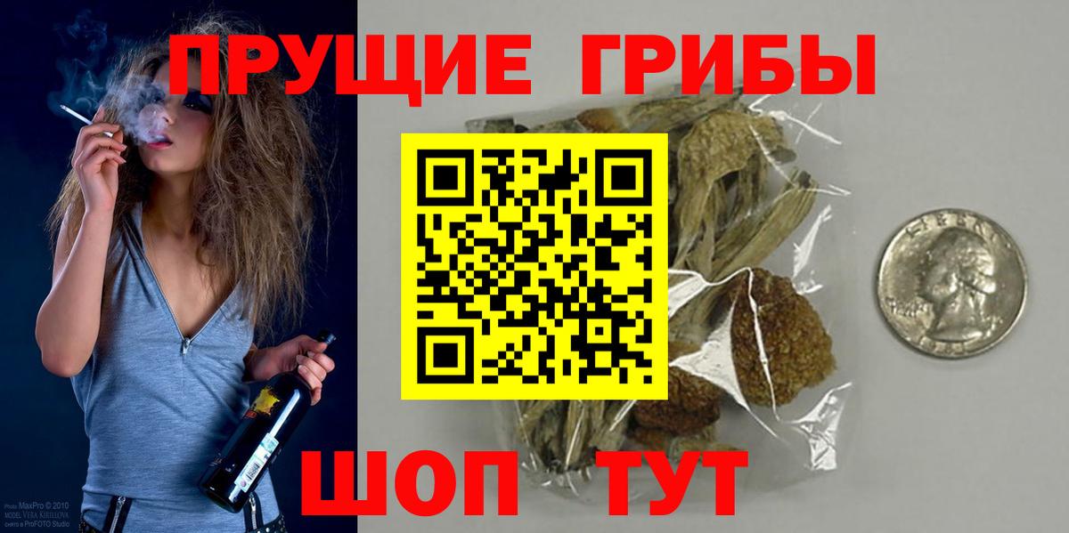 Галлюциногенные грибы Psilocybine cubensis  Галлюциногенные грибы прущие грибы  Карасук  Вход с VPN 